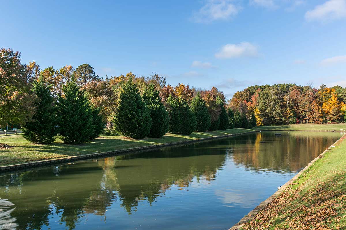Lake with trees in Mechanicsville, VA